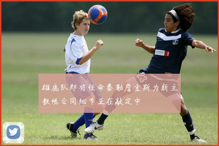 雄鹿队即将任命泰勒詹金斯为新主教练合同细节正在敲定中
