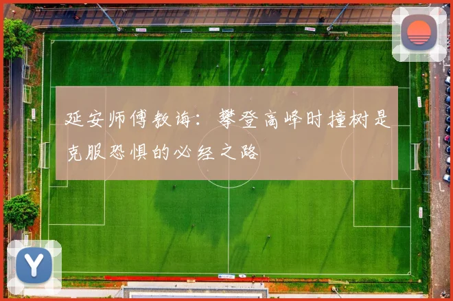 延安师傅教诲：攀登高峰时撞树是克服恐惧的必经之路