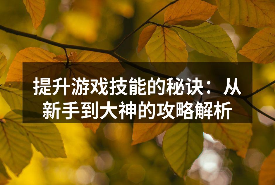 提升游戏技能的秘诀：从新手到大神的攻略解